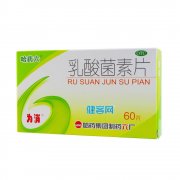 为消  乳酸菌素片