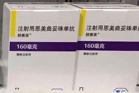 【赫赛莱】注射用恩美曲妥珠单抗160mg价格¥12600.00,购买药店 北京美信康年大药房,使用说明书 HER2阳性早 【赫赛莱】注射用恩美曲妥珠单抗160mg价格¥12600.00,购买药店 北京美信康年大药房,使用说明书 HER2阳性早
